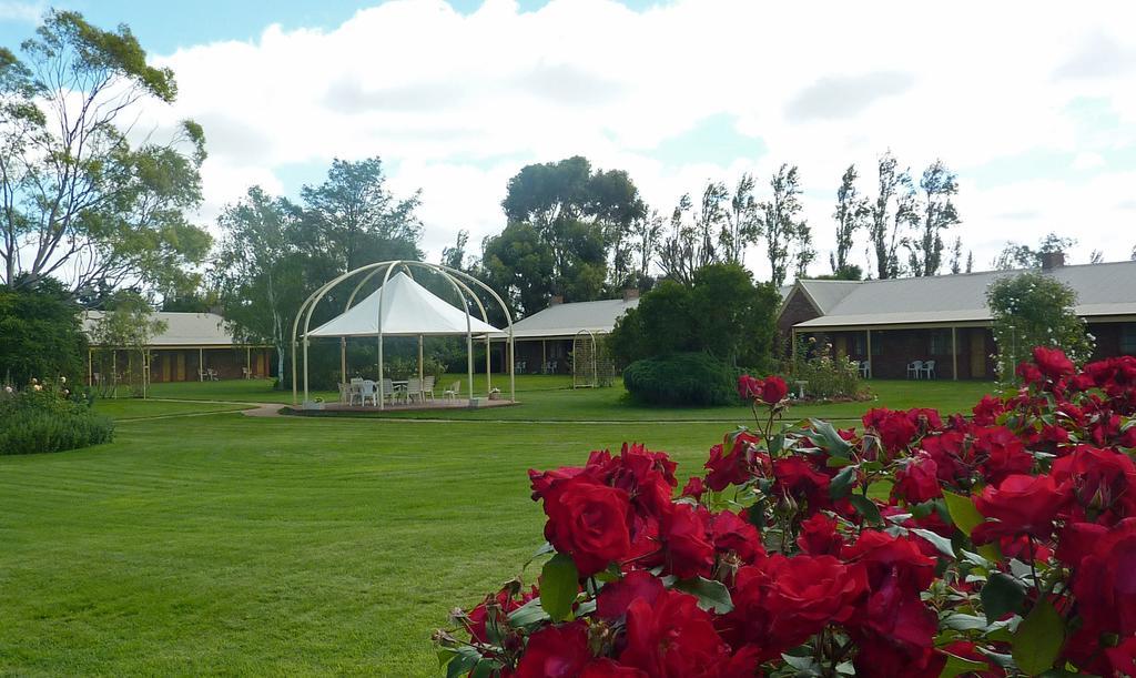 Coonawarra Place Motor Inn Esterno foto