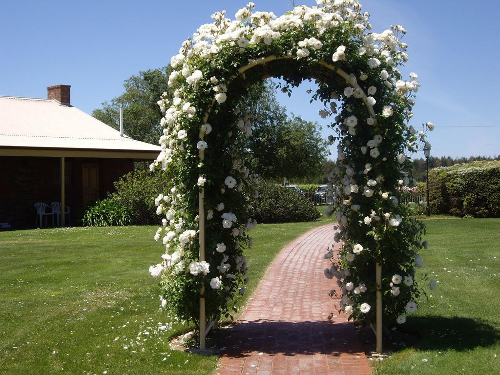 Coonawarra Place Motor Inn Esterno foto