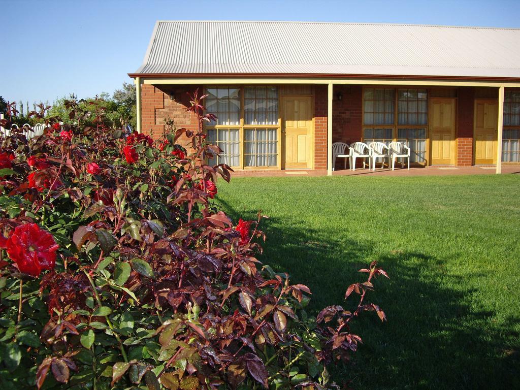 Coonawarra Place Motor Inn Esterno foto