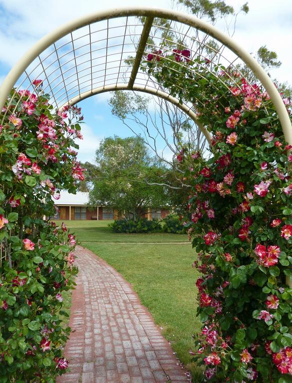 Coonawarra Place Motor Inn Esterno foto