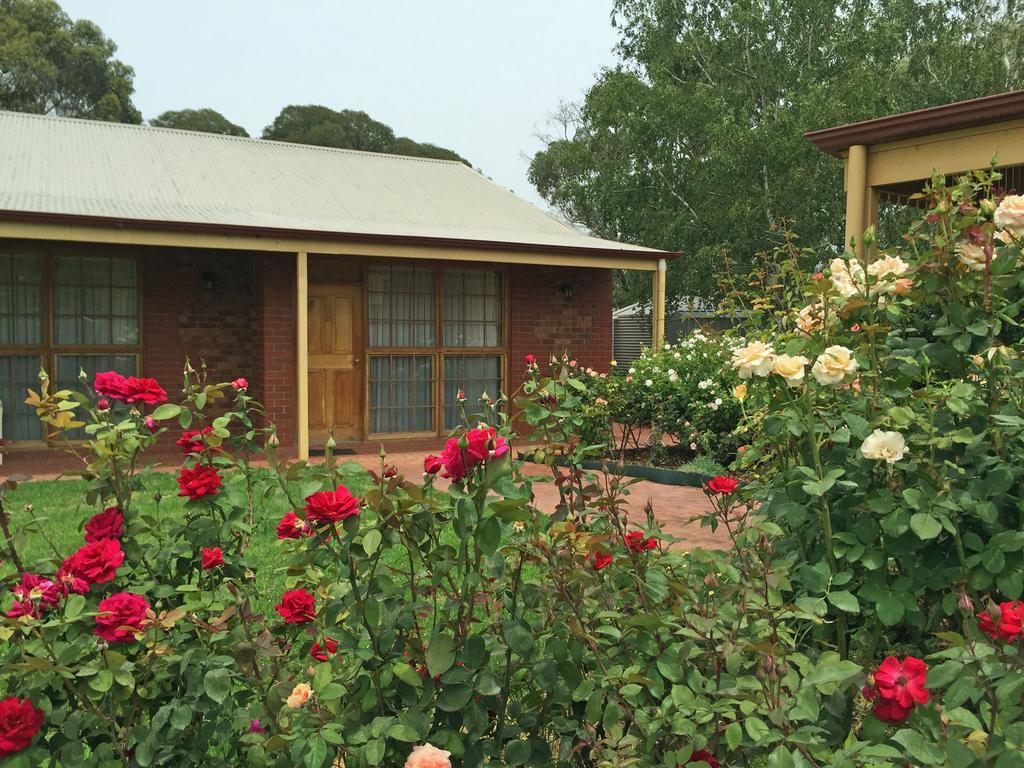 Coonawarra Place Motor Inn Esterno foto