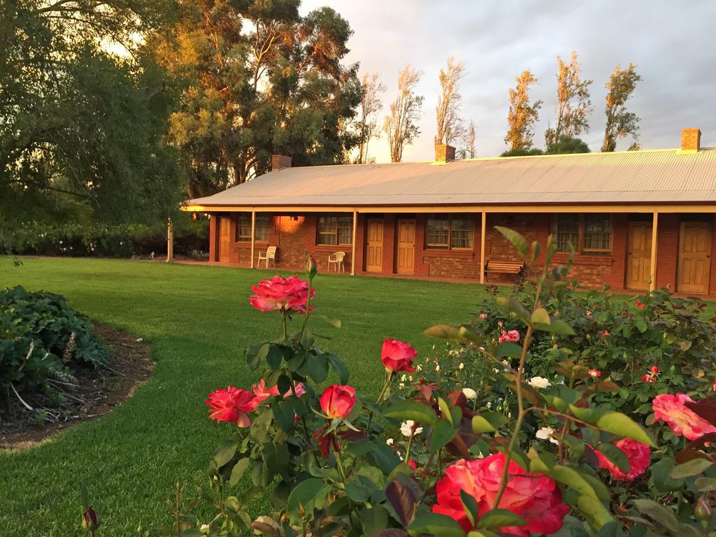 Coonawarra Place Motor Inn Esterno foto