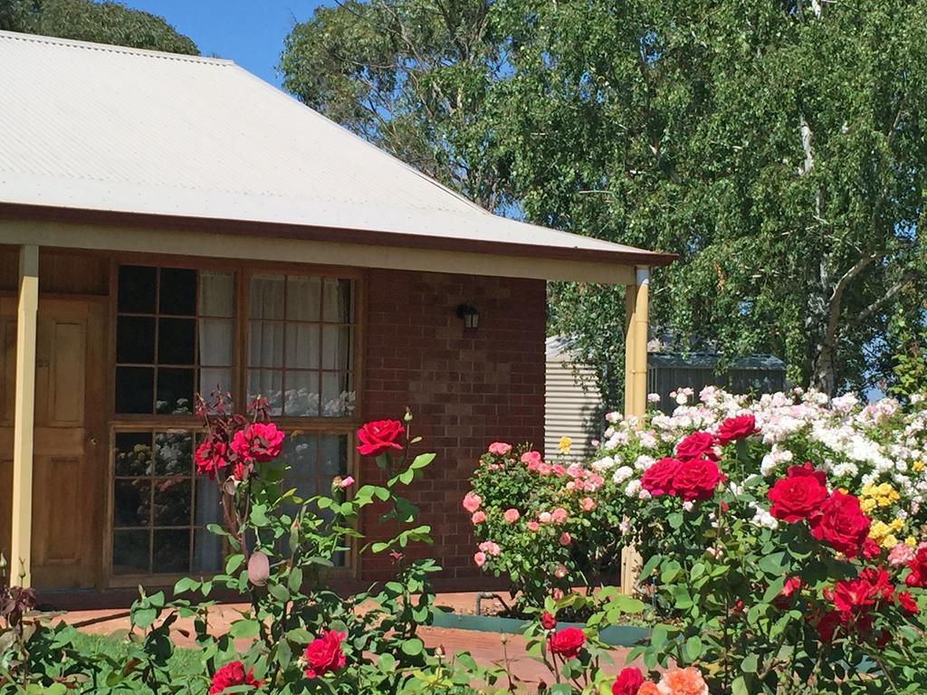 Coonawarra Place Motor Inn Esterno foto