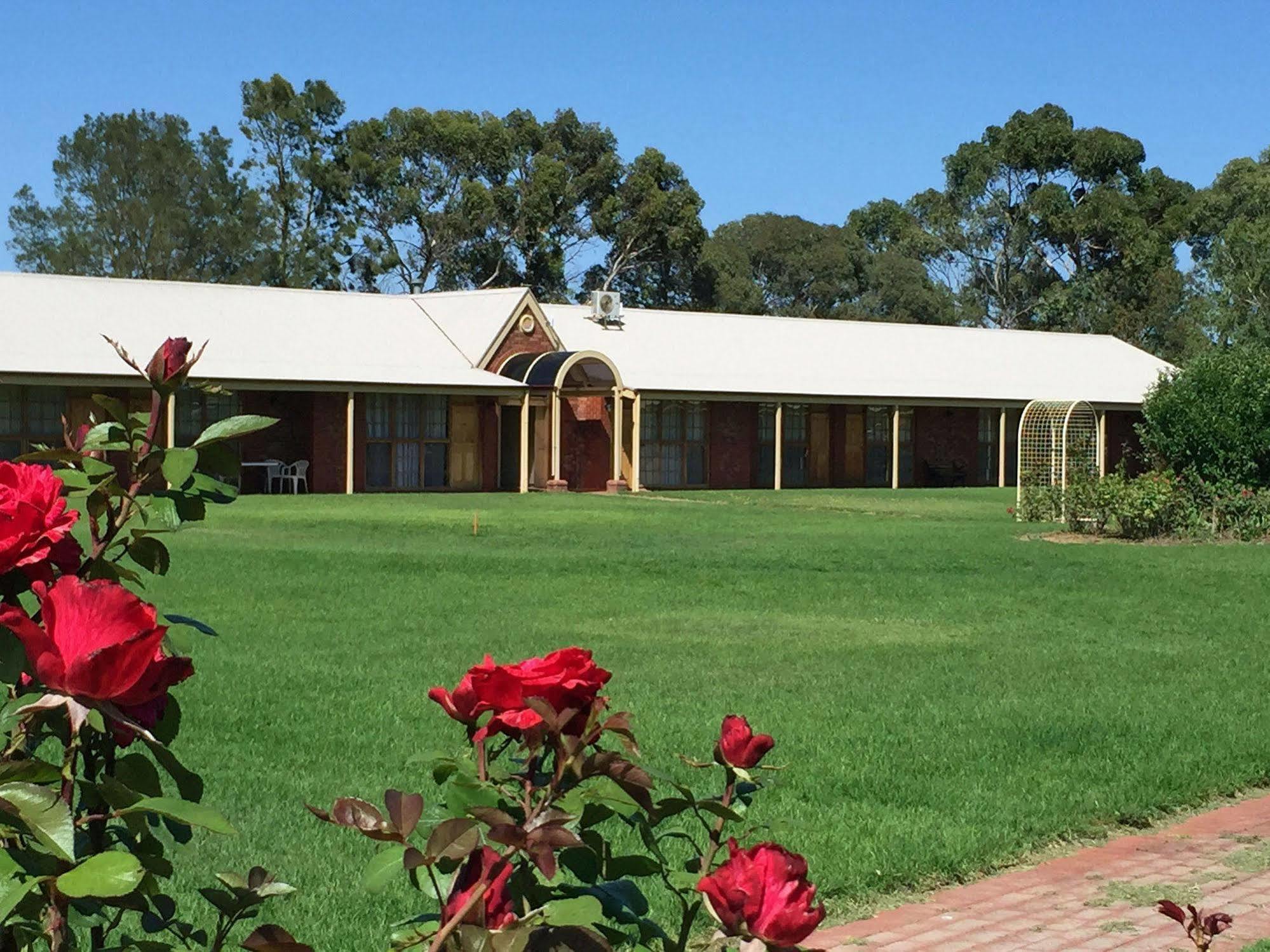 Coonawarra Place Motor Inn Esterno foto