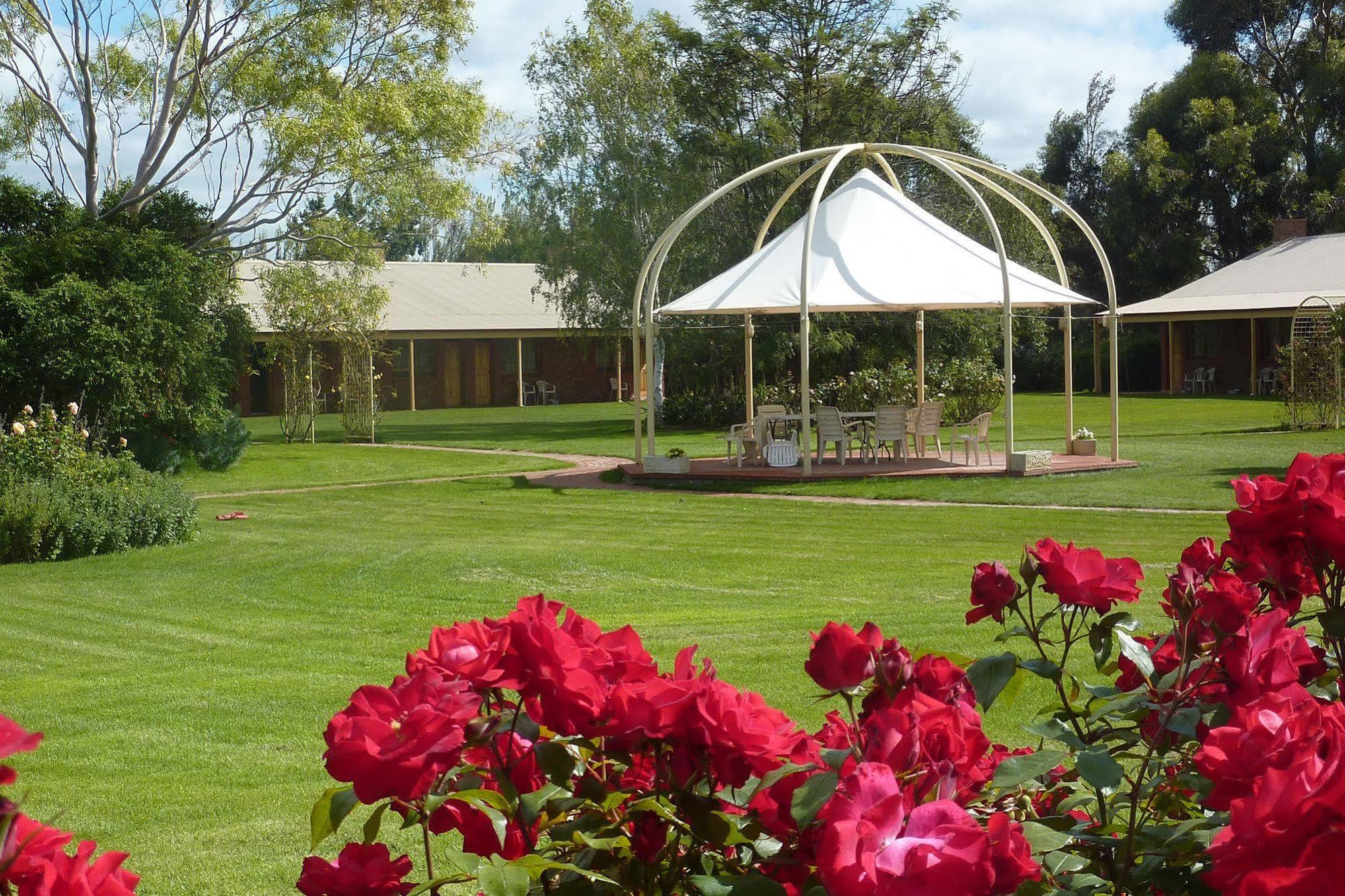Coonawarra Place Motor Inn Esterno foto