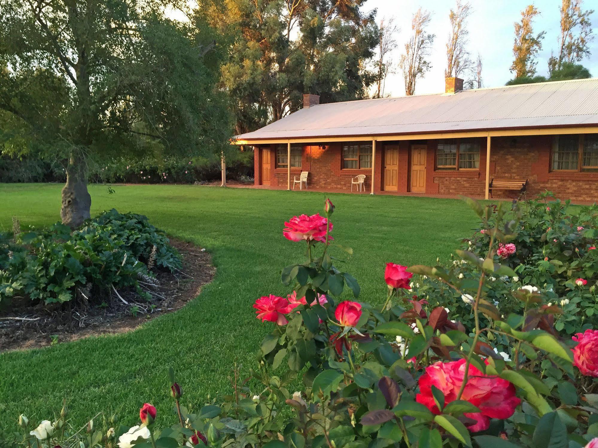 Coonawarra Place Motor Inn Esterno foto