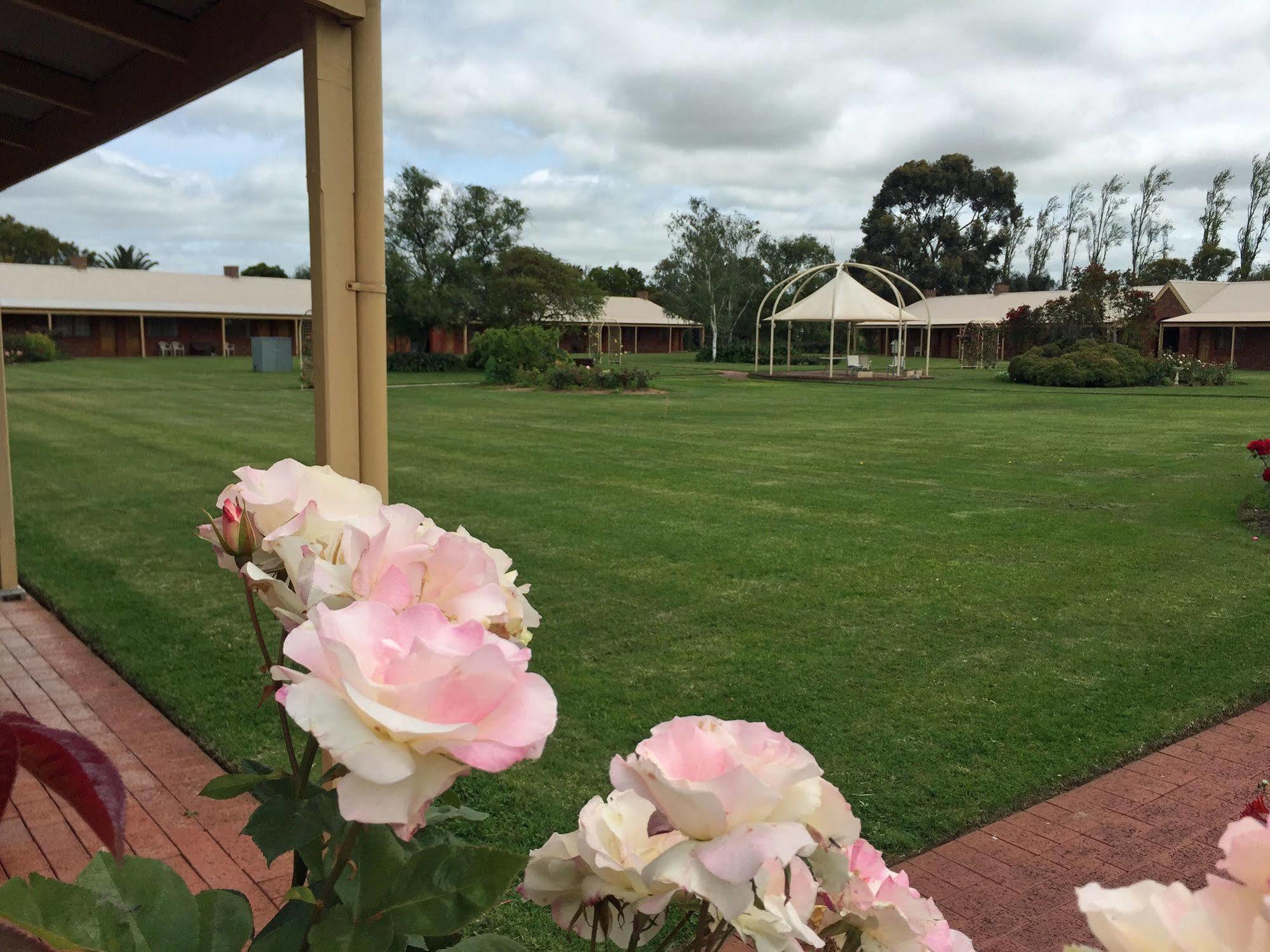 Coonawarra Place Motor Inn Esterno foto